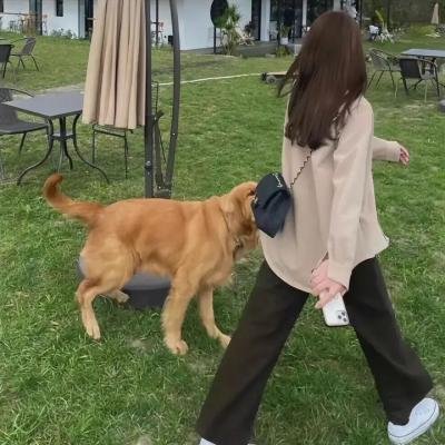 东坡家事粤语