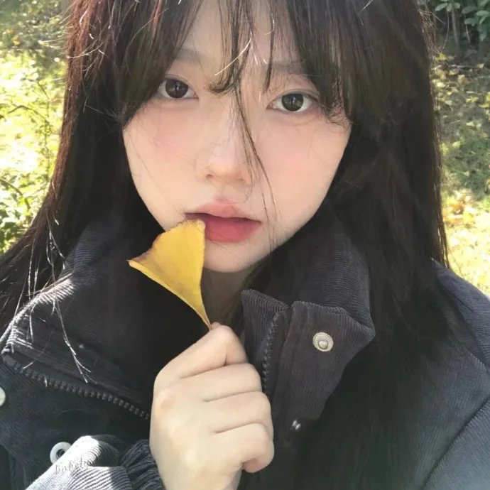 行尸之惧第二季
